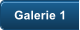 Galerie 1